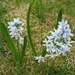 80417_0bb10_square