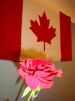Olympic Winter Games 2010