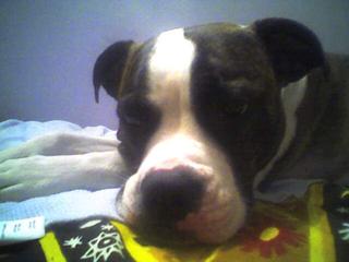 Hanging out on my brother's blankie