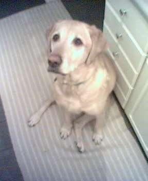 My buddy
