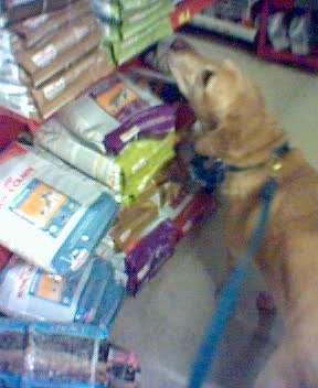 Paco\'s favorite store