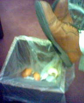 Feet