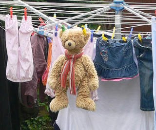 ted hanging around 