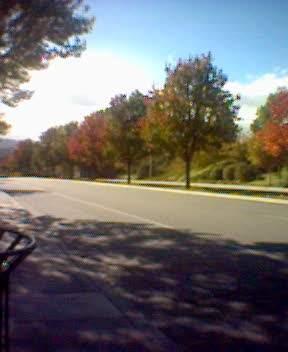 Beautiful day