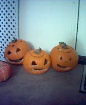 Pumkin family