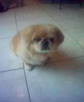 Millen/chloe