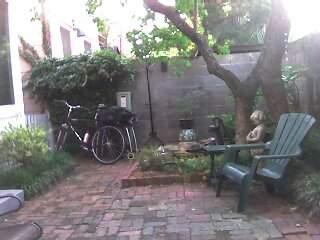 Savannah