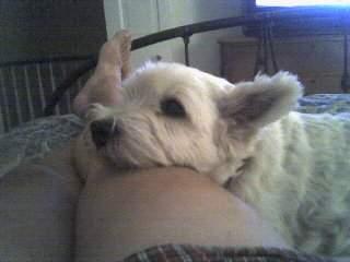 Lucy