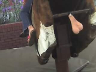 Bull ride at Oktoberfest