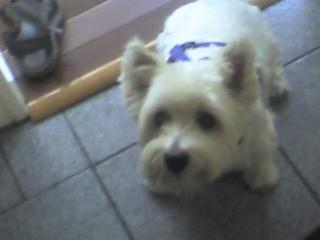 Molly, Lunchtime