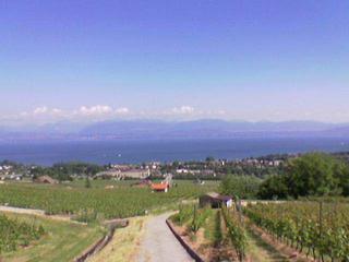 Lac Leman