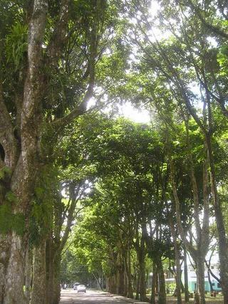 Kalibo, Aklan