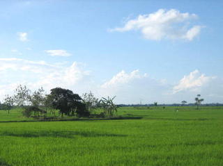 Beauty of  Angadanan, Isabela .