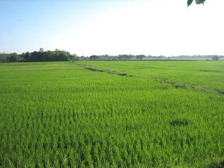 Beauty of  Angadanan, Isabela .