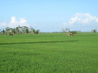 Beauty of  Angadanan, Isabela .
