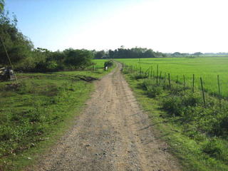 Beauty of  Angadanan, Isabela .