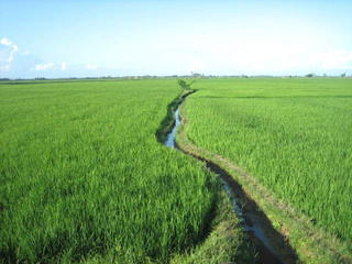 Beauty of  Angadanan, Isabela .