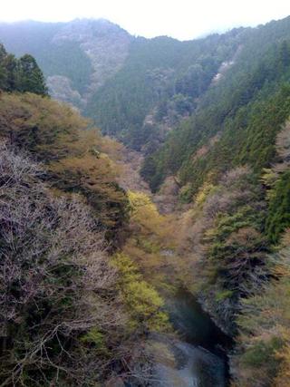 River view