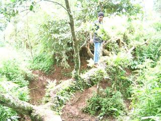 Sanctuary in Ciawi