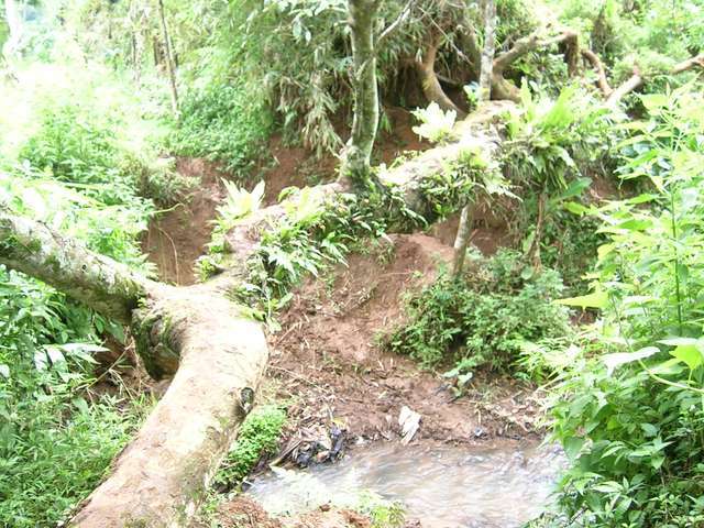 Sanctuary in Ciawi
