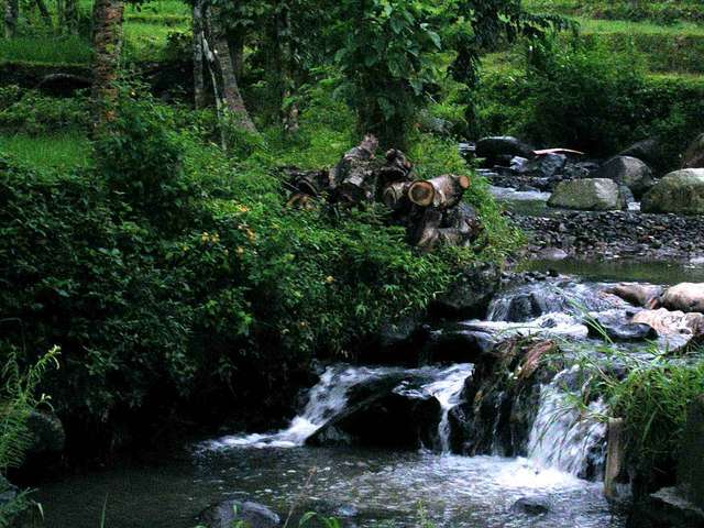 Sanctuary in Ciawi