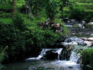 Sanctuary in Ciawi