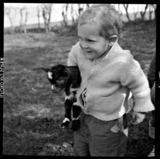 little goat