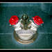 260757_28748_square