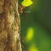 175940_2aae4_square