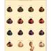 246618_18583_square