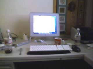 My first phlog test