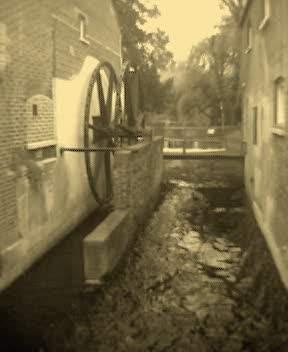 Morden Hall