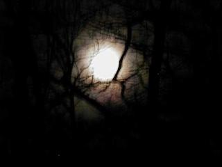 April moon #1