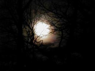 April moon #2