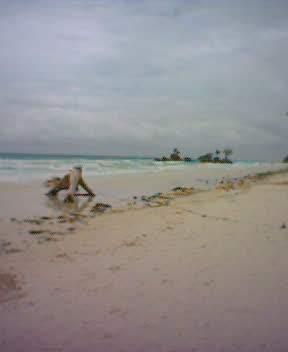 Boracay Shoreline