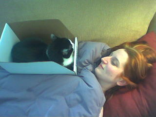 Kate the Patient and her Curative Cat