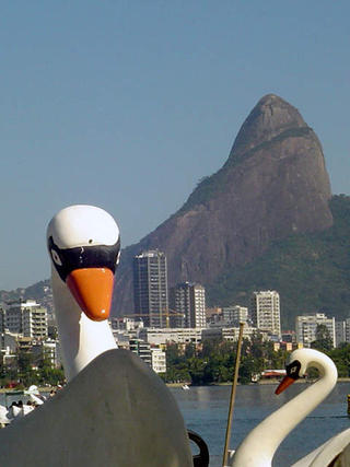 Lago(a) dos Cisnes / Swan Lake