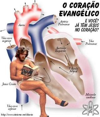 Strangest book cover ever