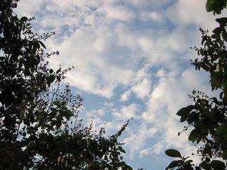 June 17, 2004 No.1
