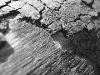 Macros No.2