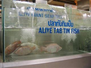 Stupid signs around Thailand No. 13