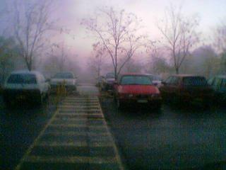 foggy morning