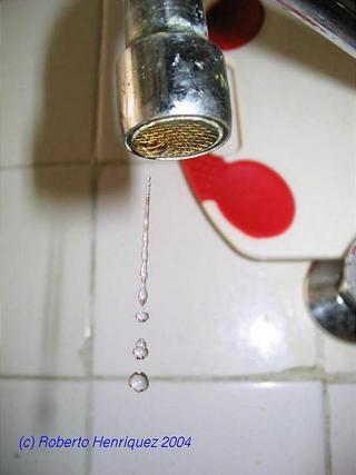 Gota