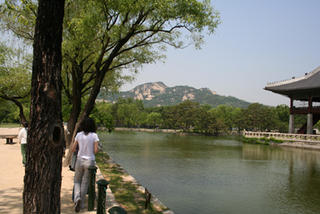 kyung bok palace