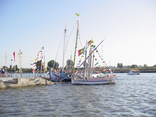 A Moita em Festa - O Rio e os seus Barcos