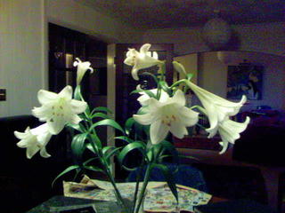 Birthday bouquet lasting, long after the birthday