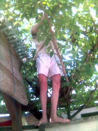 budak tukang curi cherries