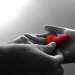 1730681_d0dfb_square