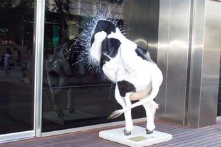 &iexcl;Vaca curiosa! No s&eacute; el nombre verdadero... En Buenos Aires Cowparade