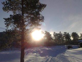 14 bl&aring; og sol p&aring; Domb&aring;s i dag!